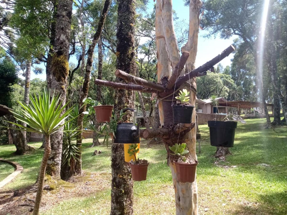 Cabana Romance - Recanto Da Natureza Canela Zewnętrze zdjęcie